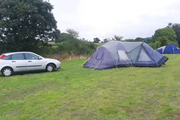Grass camping at Rexes Hollow Certificated Site
