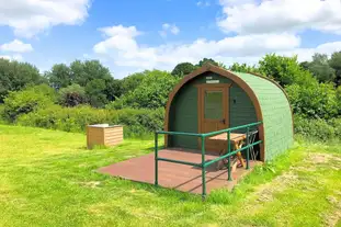 Rexes Hollow Certificated Site, Stoford, Yeovil, Somerset