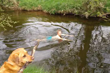 Swimming in the river with dogs welcome
