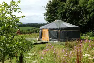 Ravens Nest Yurt, West Curry, Launceston, Cornwall