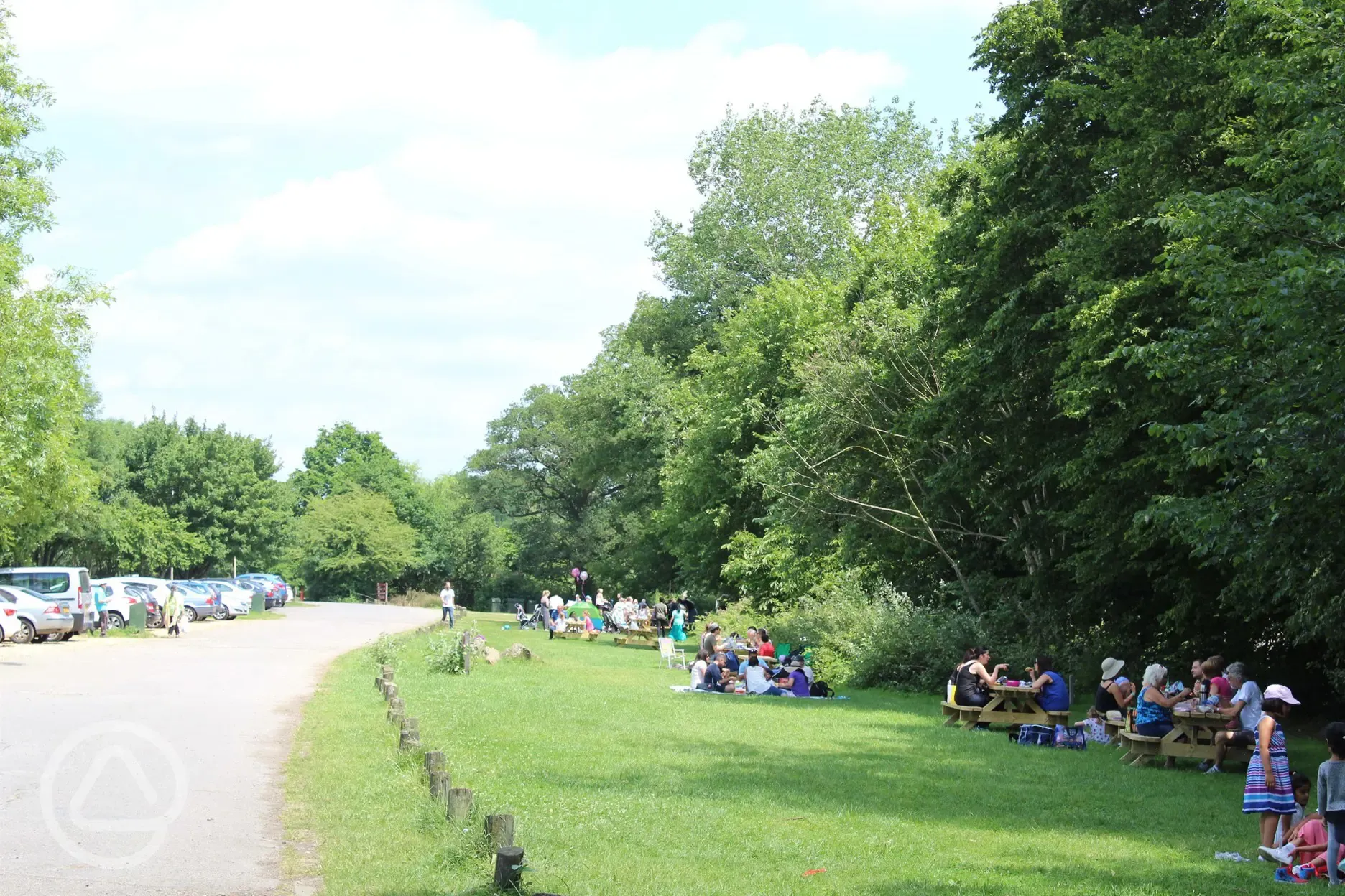 Picnic area 