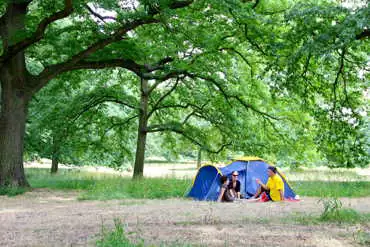 Non electric grass pitches 