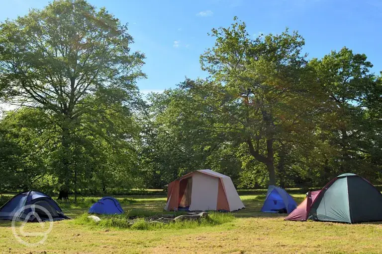 Non electric grass pitches 