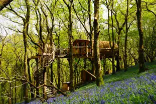 Living Room Treehouses, Machynlleth, Powys (18.6 miles)
