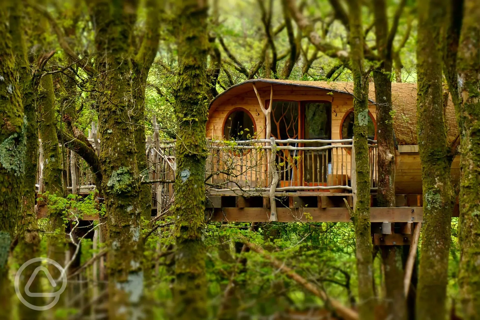 Treehouse