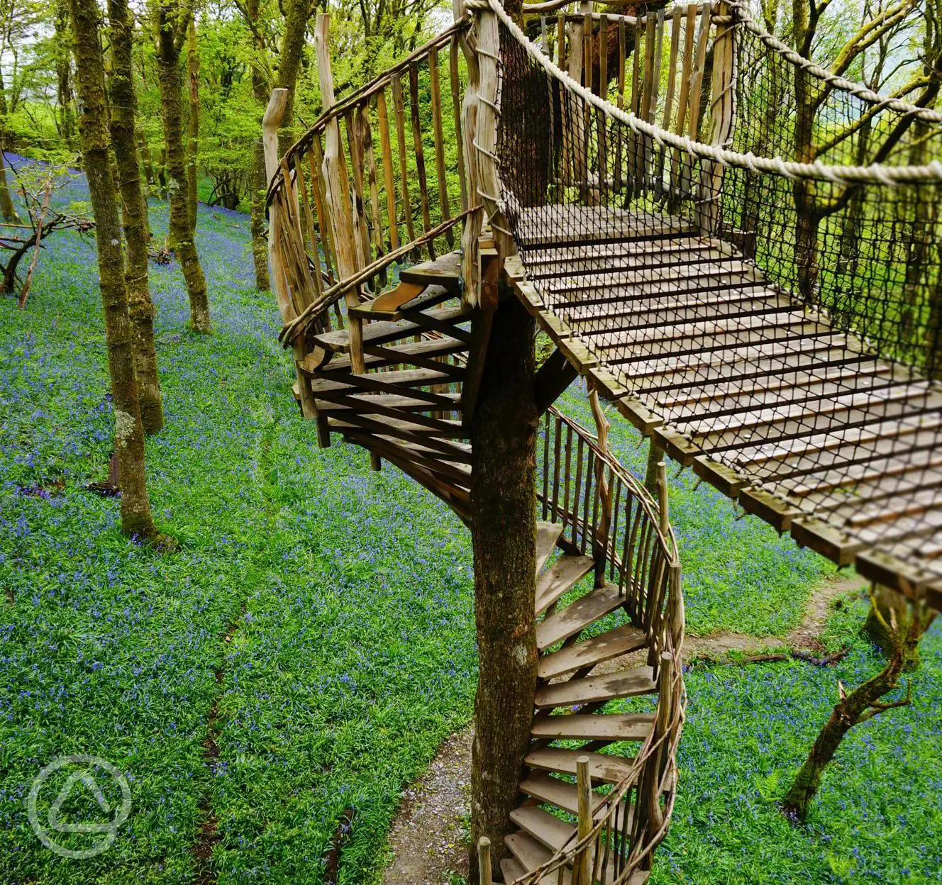 Stairs to treehouse