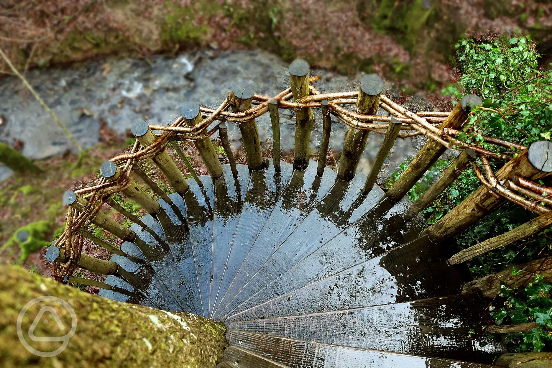 Stairs to the treehouse