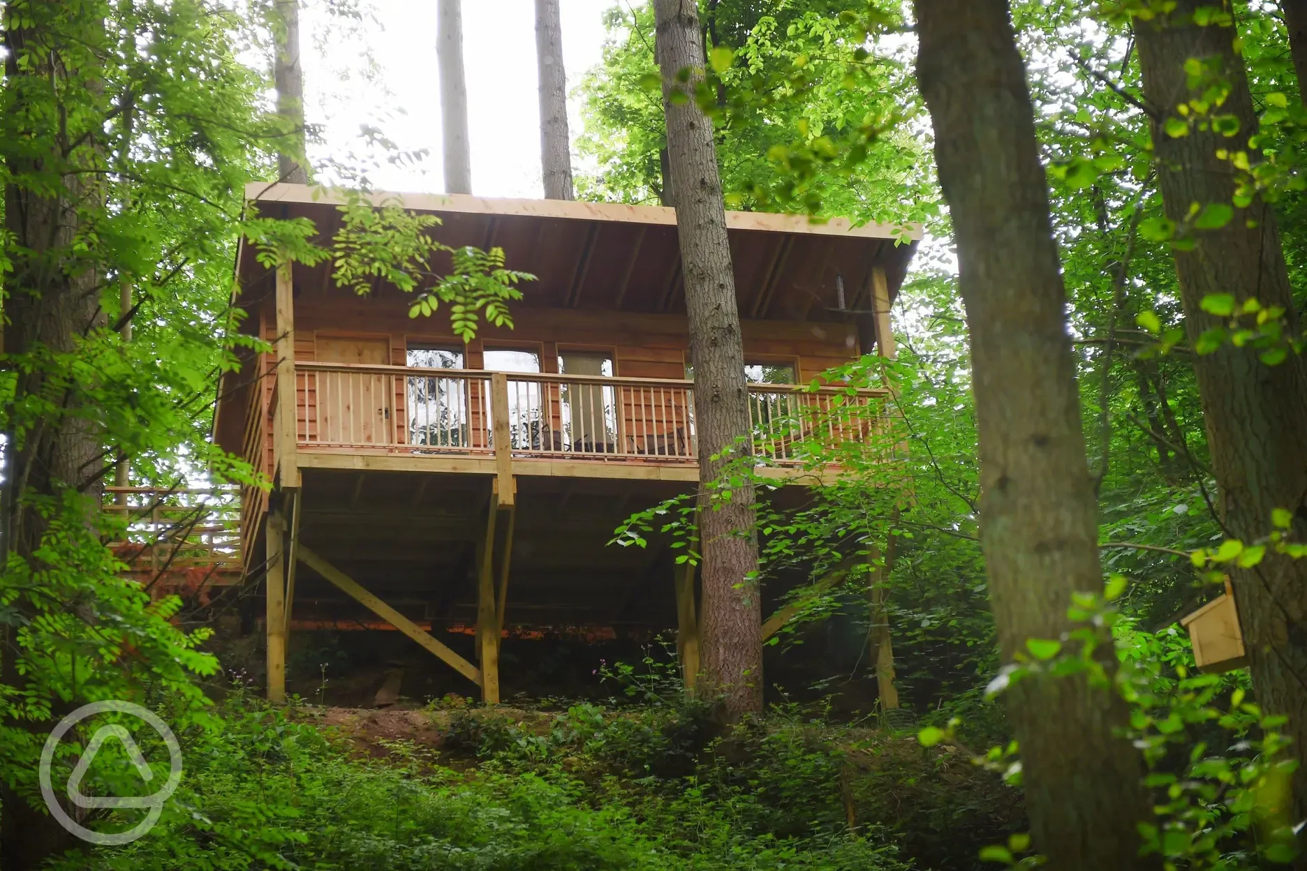 Treetop cabin