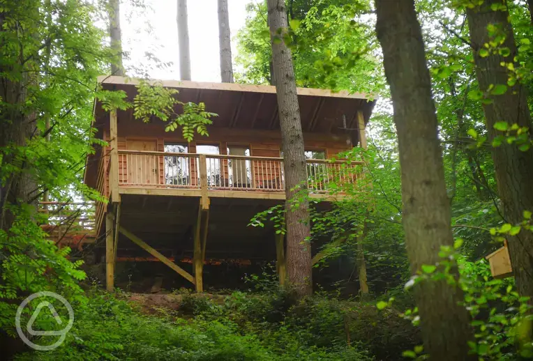 Treetop cabin