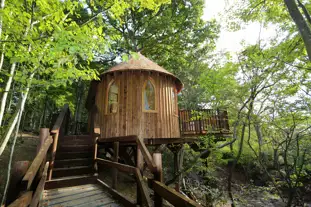 Hoots Treehouse, Mayfield, East Sussex (8 miles)