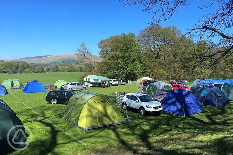 Camping pitches