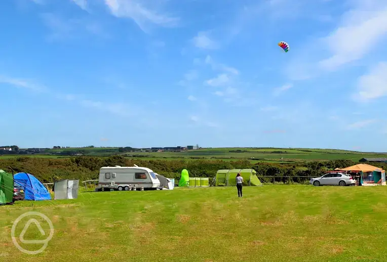 Electric grass pitches