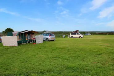 Electric grass pitches at Birtwick Park