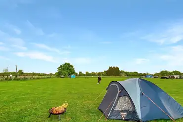 Grass pitches 