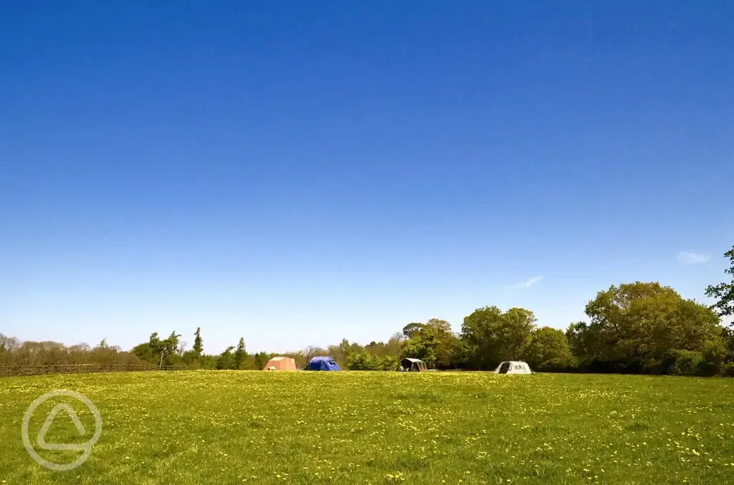 Non electric grass pitches