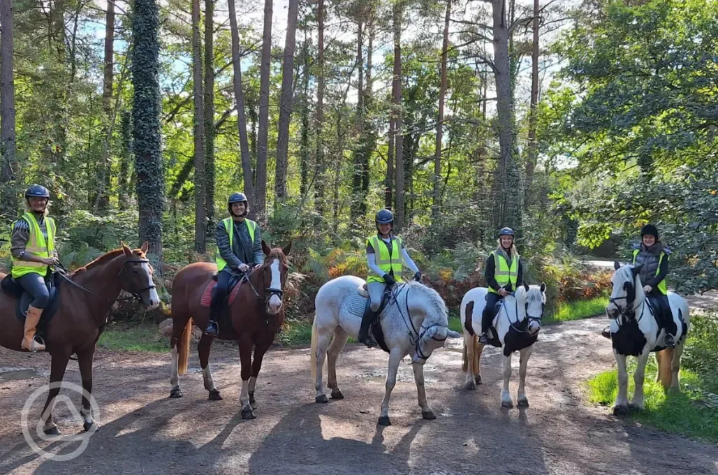 Horse riding on the Westerlands Estate