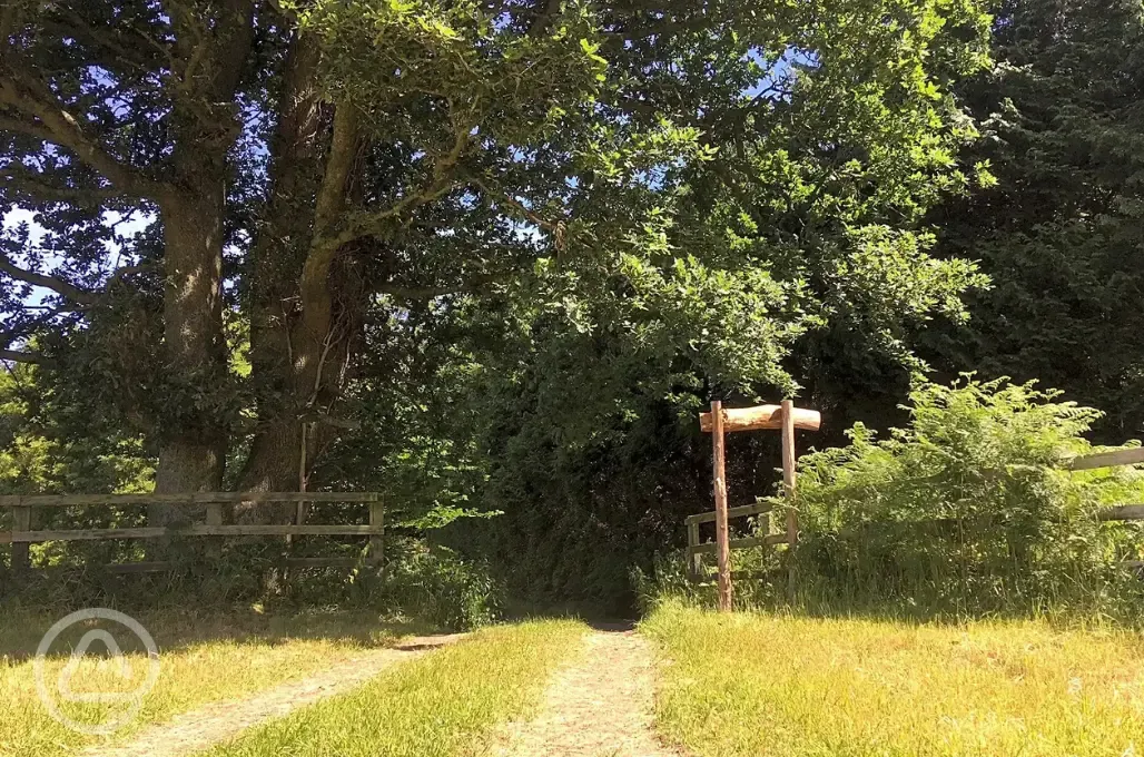 Woodland footpaths from site