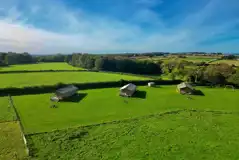 Safari tents