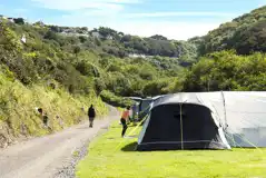 Non electric grass pitches