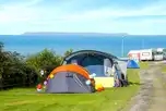 Non electric grass pitches