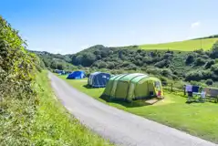 Standard electric grass pitches