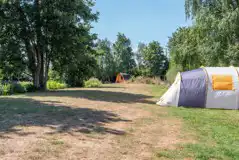 Grass pitches (some with 16 amp electric hook ups available)