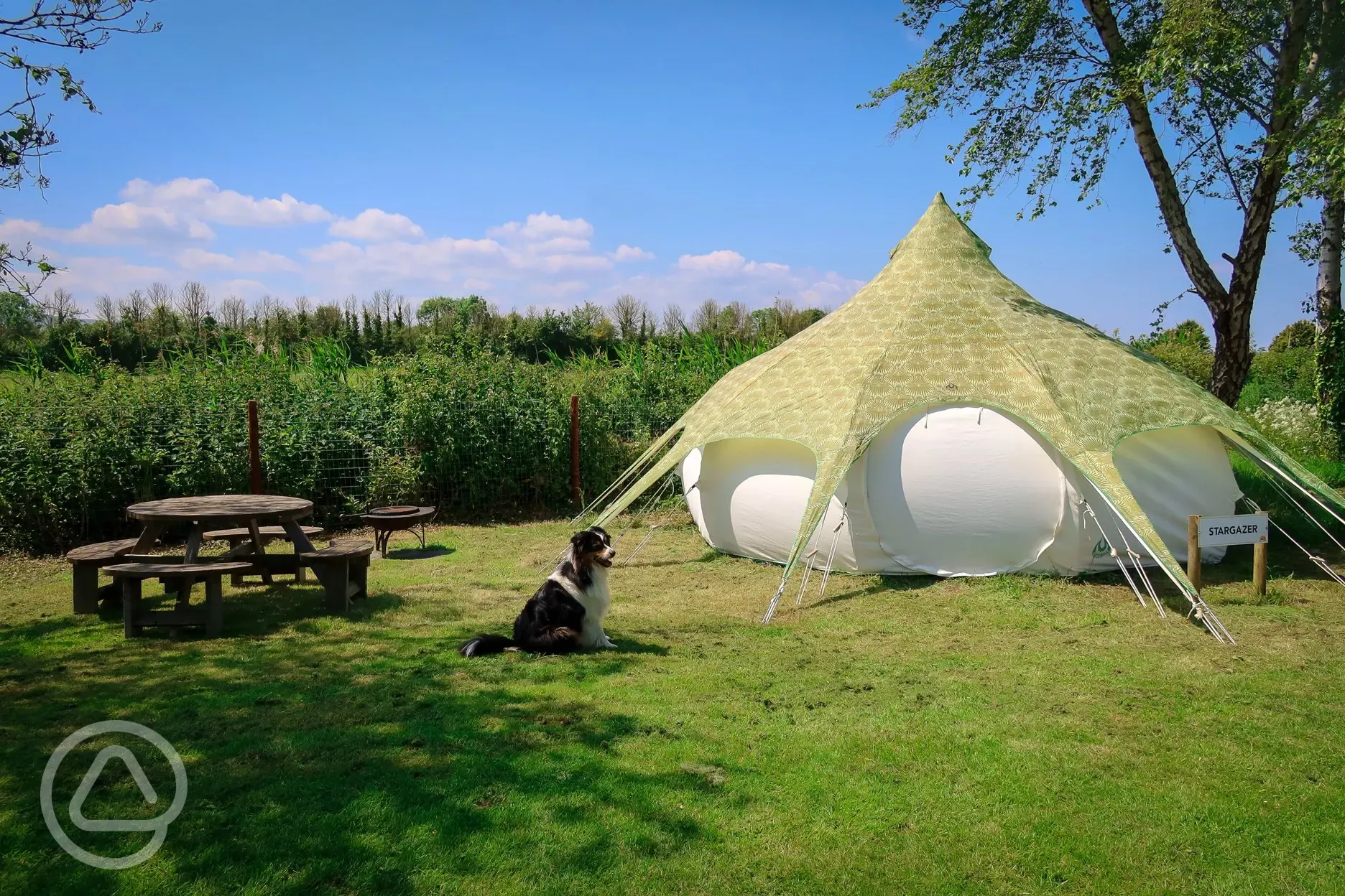 Stargazer Lotus Belle tent