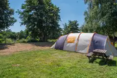 Grass pitches (some with 16 amp electric hook ups available)