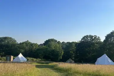 Star Field Camping and Glamping