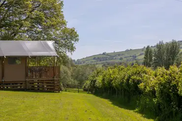 Safari tent