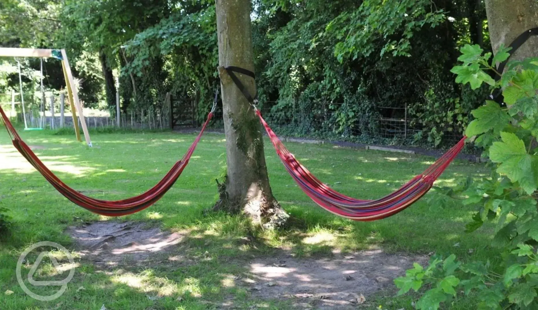 Relaxing hammocks 