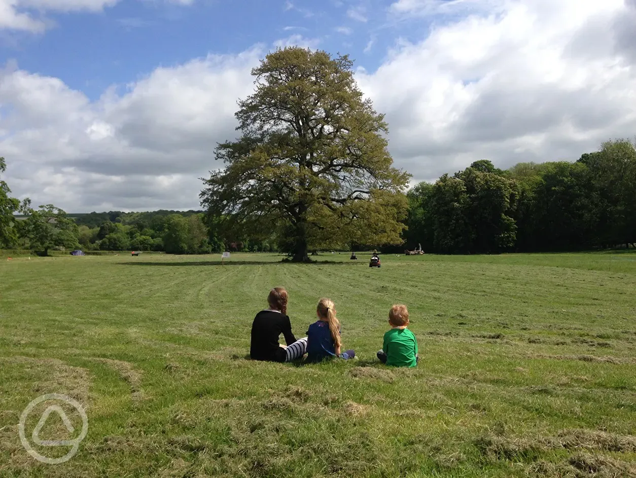 Children enjoying the wide open spaces at Stockton Park