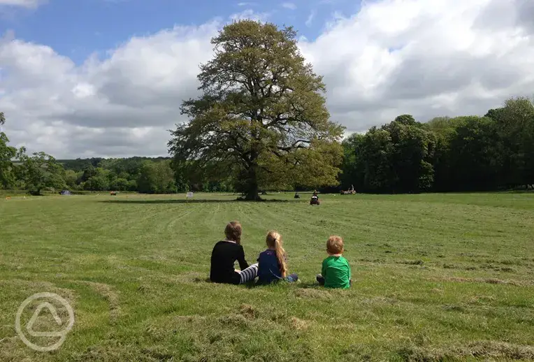 Children enjoying the wide open spaces at Stockton Park