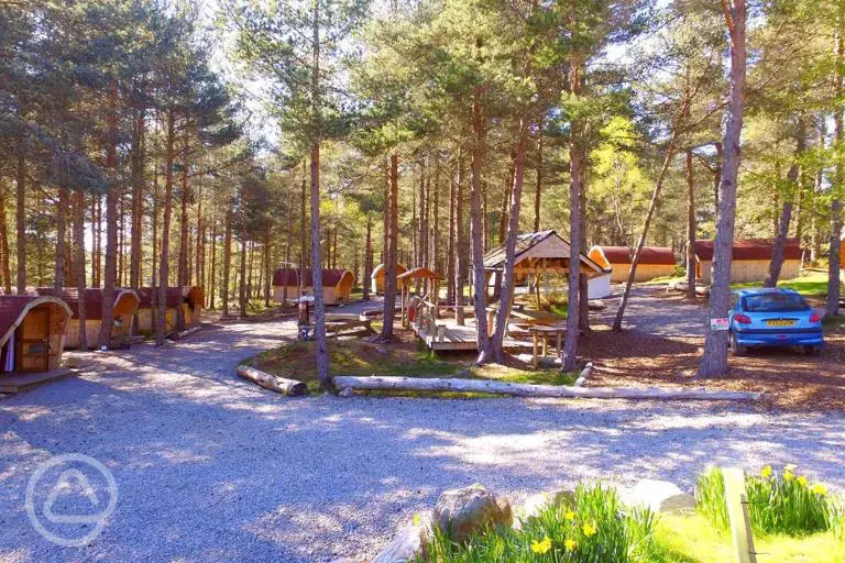 Camping pods in the trees