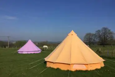 Horses grazing by the bell tents