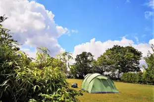 Cosy Camping Suffolk, Bucklesham, Ipswich, Suffolk