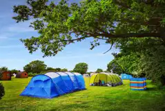 Non electric grass tent pitches