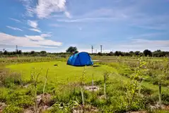 Grass pitches (foot access only)