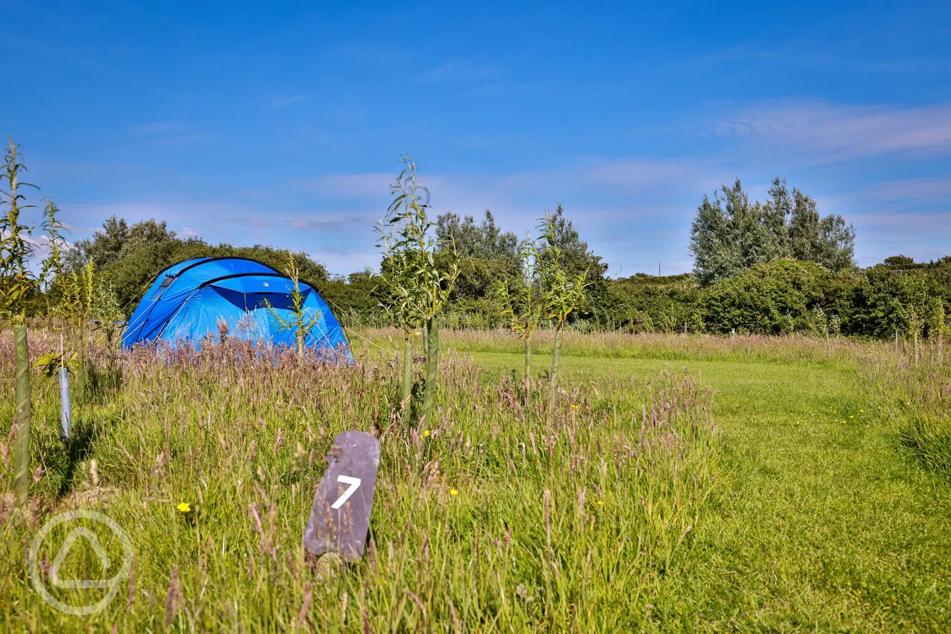 Grass pitches (foot access only)