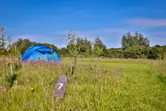 Grass pitches (foot access only)