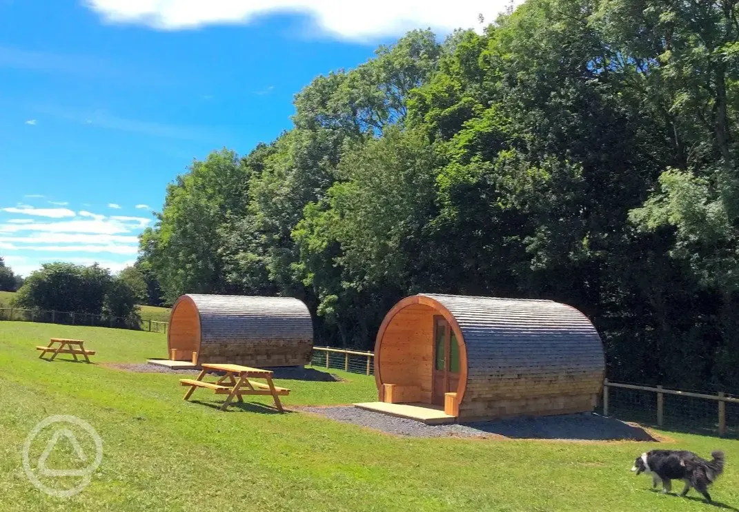 Pods for guests and dogs