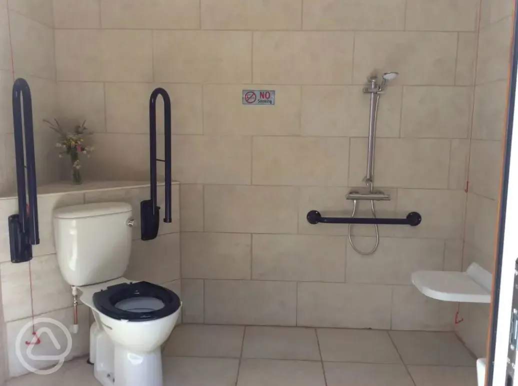 Wheelchair friendly bathroom