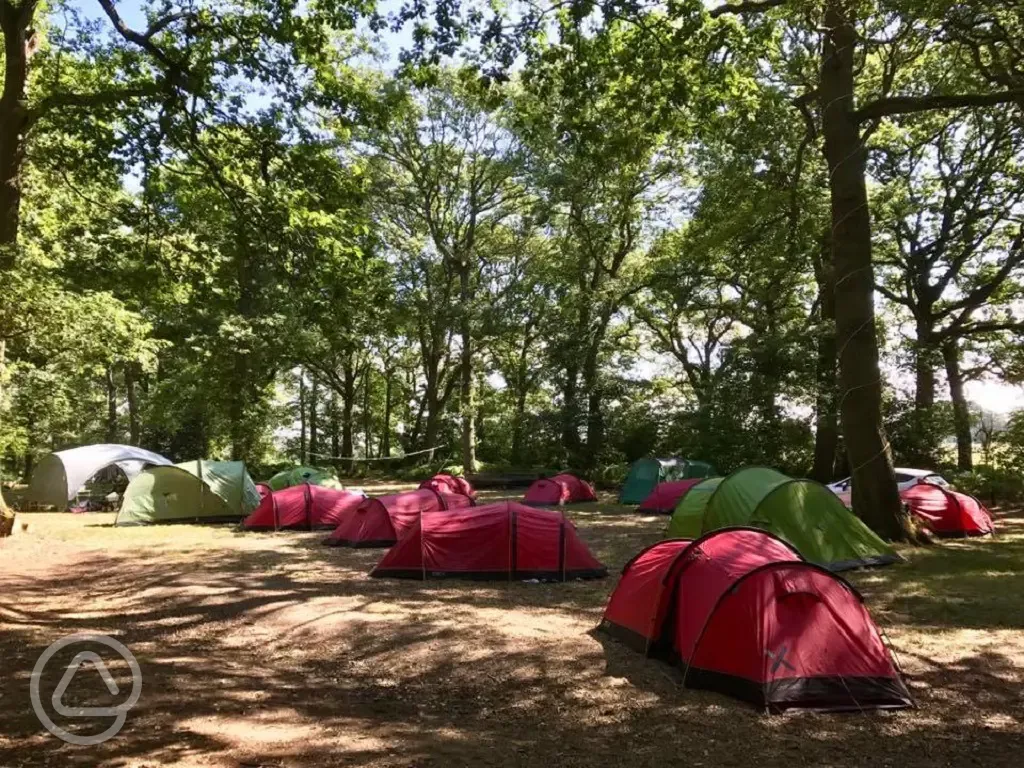 Tent camping Umberslade Adventure