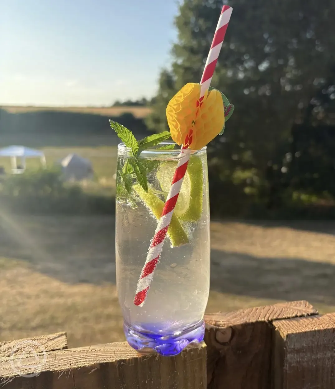 Cocktails from the bus