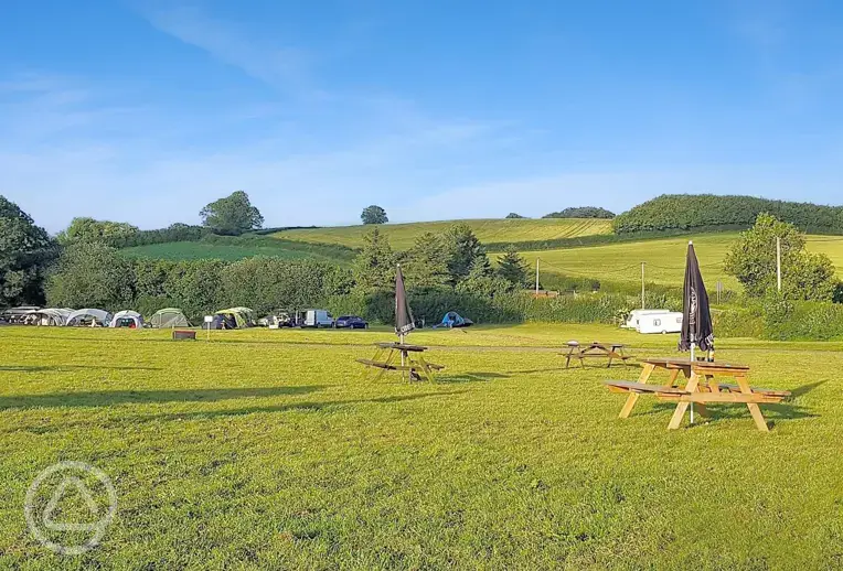 Pub garden overlooking the grass pitches
