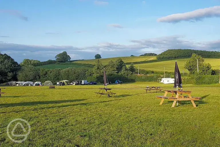 Pub garden overlooking the grass pitches