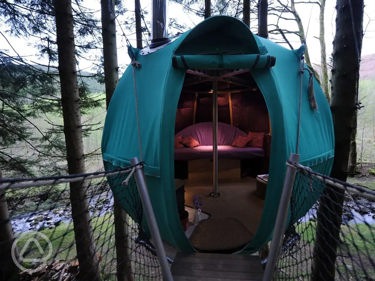 Tree tent interior