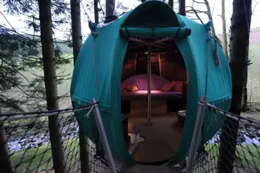 Tree tent interior