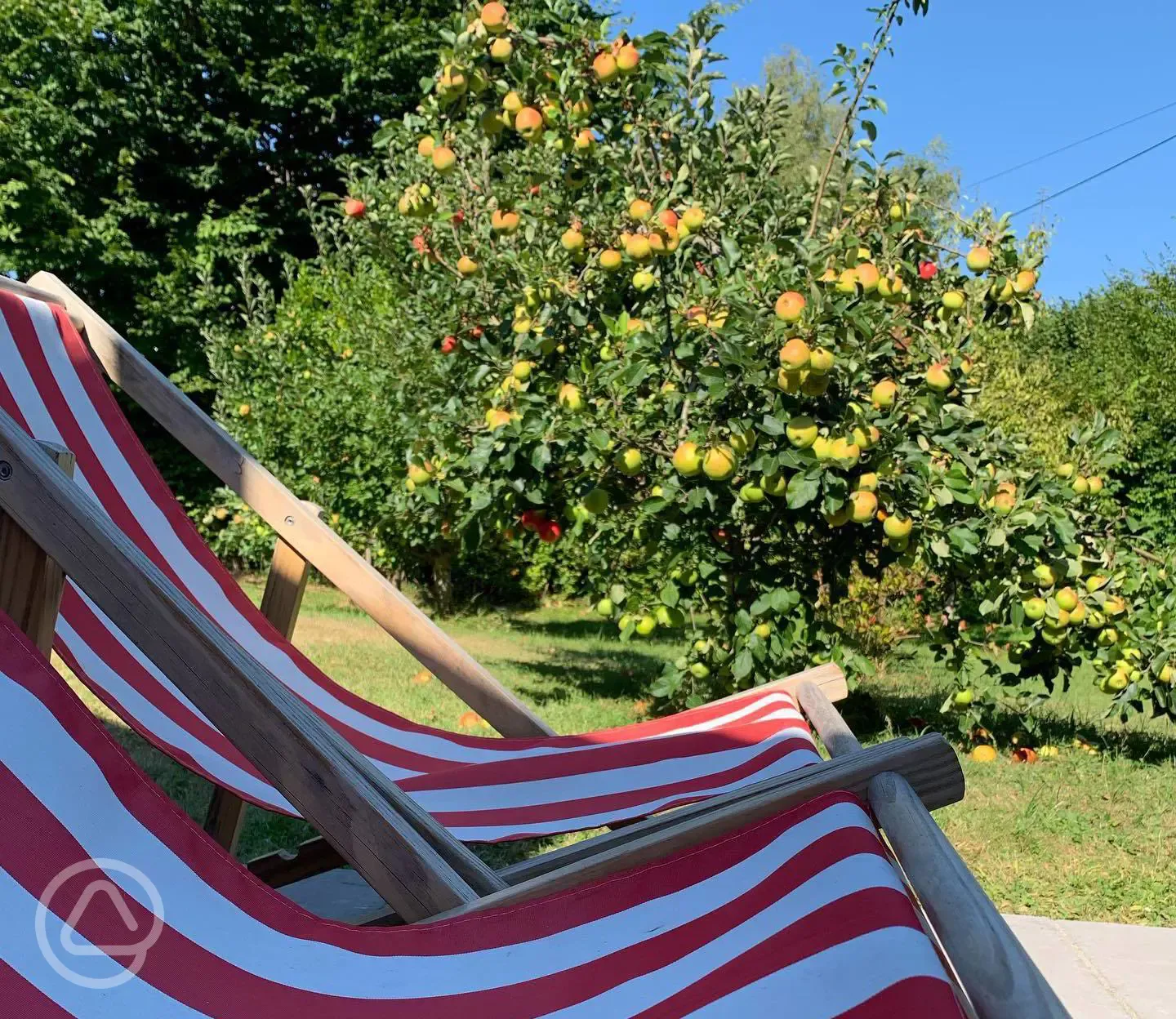 Ensuite shepherd's hut - deck chairs and apple trees