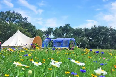 Canna Farm Campsite